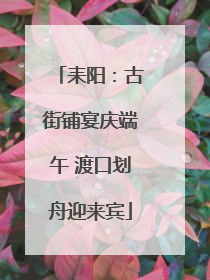 耒阳：古街铺宴庆端午 渡口划舟迎来宾