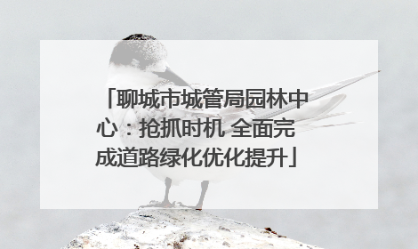 聊城市城管局园林中心：抢抓时机 全面完成道路绿化优化提升