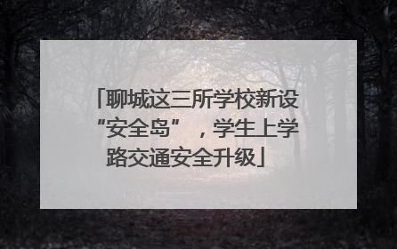 聊城这三所学校新设“安全岛”，学生上学路交通安全升级