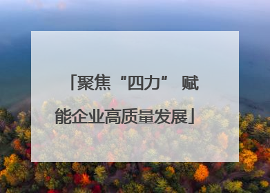 聚焦“四力” 赋能企业高质量发展