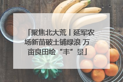 聚焦北大荒丨延军农场新苗破土铺绿浪 万亩良田绘“丰”景