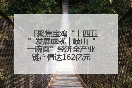 聚焦宝鸡“十四五”发展成就丨岐山“一碗面”经济全产业链产值达162亿元 入选全国典型县