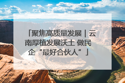 聚焦高质量发展｜云南厚植发展沃土 做民企“最好合伙人”