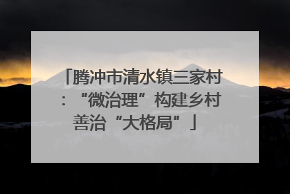 腾冲市清水镇三家村：“微治理”构建乡村善治“大格局”