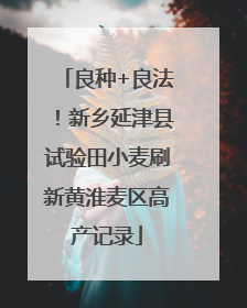 良种+良法！新乡延津县试验田小麦刷新黄淮麦区高产记录