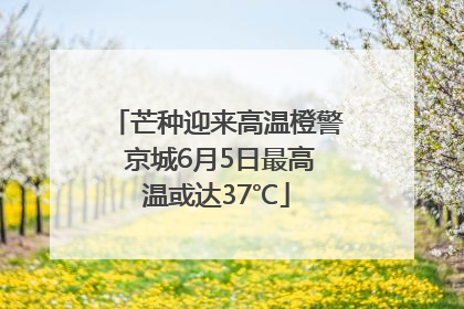 芒种迎来高温橙警 京城6月5日最高温或达37℃