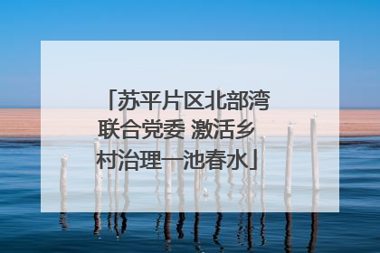 苏平片区北部湾联合党委 激活乡村治理一池春水