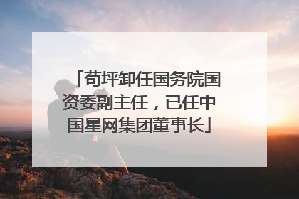 苟坪卸任国务院国资委副主任，已任中国星网集团董事长