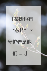 茶树也有“芯片”？守护者是他们……