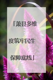 萧县多维度筑牢民生保障底线