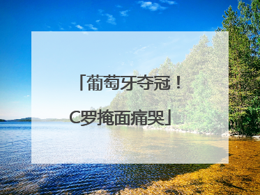 葡萄牙夺冠！C罗掩面痛哭