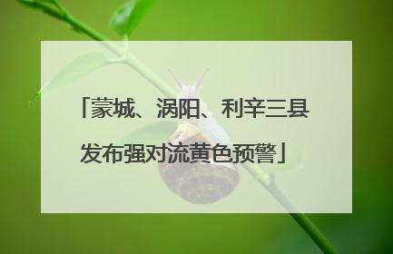 蒙城、涡阳、利辛三县发布强对流黄色预警