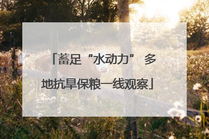 蓄足“水动力” 多地抗旱保粮一线观察