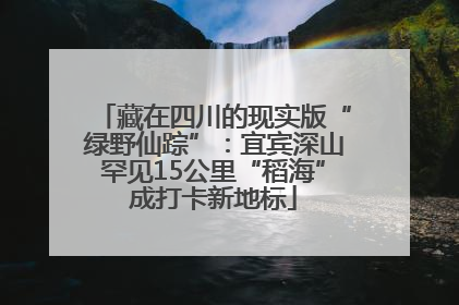 藏在四川的现实版“绿野仙踪”：宜宾深山罕见15公里“稻海”成打卡新地标