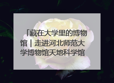 藏在大学里的博物馆｜走进河北师范大学博物馆天地科学馆：在校园里赴一场“宇宙之约”
