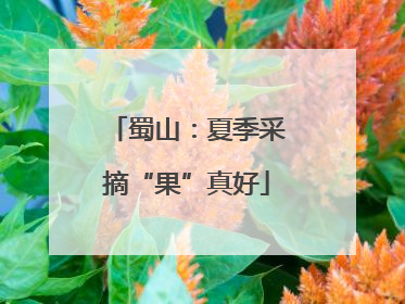 蜀山：夏季采摘“果”真好