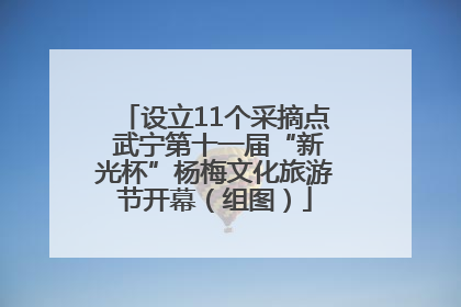 设立11个采摘点 武宁第十一届“新光杯”杨梅文化旅游节开幕（组图）