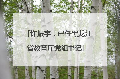 许振宇，已任黑龙江省教育厅党组书记