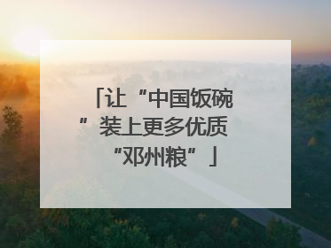 让“中国饭碗”装上更多优质“邓州粮”