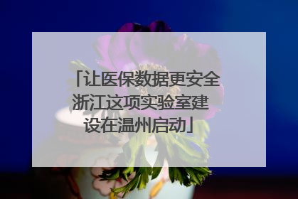 让医保数据更安全 浙江这项实验室建设在温州启动
