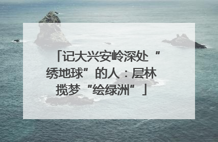 记大兴安岭深处“绣地球”的人：层林揽梦“绘绿洲”