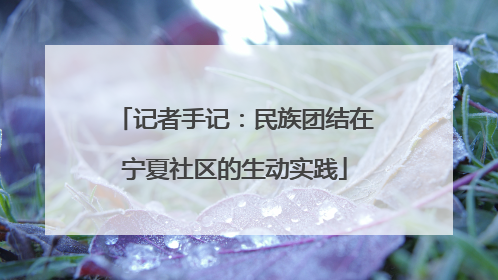 记者手记：民族团结在宁夏社区的生动实践