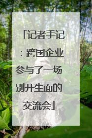 记者手记：跨国企业参与了一场别开生面的交流会