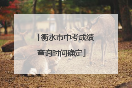衡水市中考成绩查询时间确定