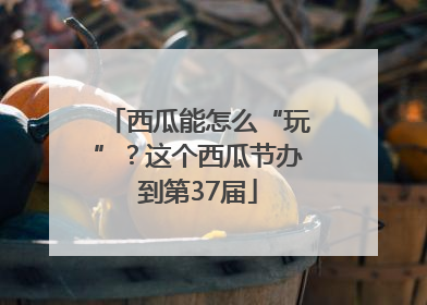 西瓜能怎么“玩”？这个西瓜节办到第37届