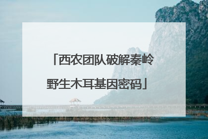 西农团队破解秦岭野生木耳基因密码