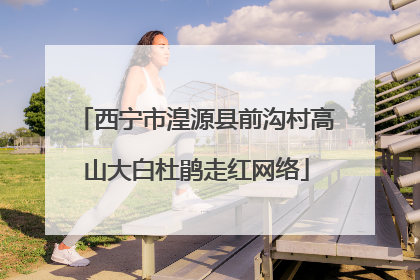 西宁市湟源县前沟村高山大白杜鹃走红网络