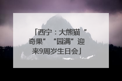 西宁：大熊猫“奇果”“园满”迎来9周岁生日会