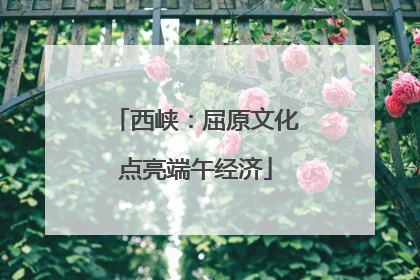 西峡：屈原文化点亮端午经济