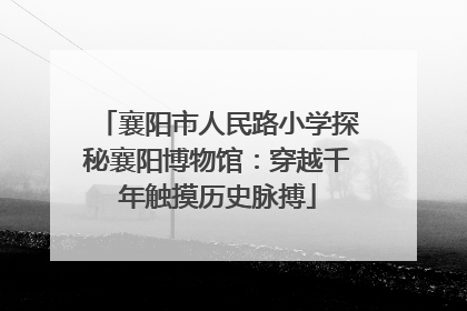 襄阳市人民路小学探秘襄阳博物馆：穿越千年触摸历史脉搏