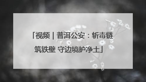 视频｜普洱公安：斩毒链筑铁壁 守边境护净土