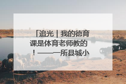 追光｜我的德育课是体育老师教的！——一所县城小学的思政课改革