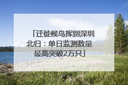 迁徙候鸟挥别深圳北归：单日监测数量最高突破2万只
