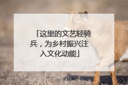 这里的文艺轻骑兵，为乡村振兴注入文化动能