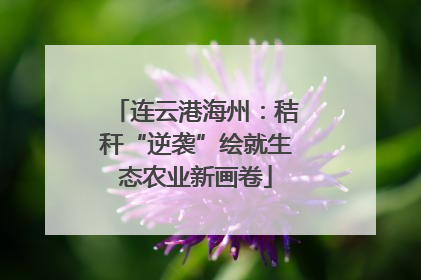 连云港海州：秸秆“逆袭”绘就生态农业新画卷