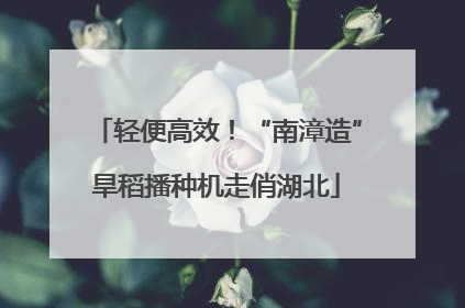 轻便高效！“南漳造”旱稻播种机走俏湖北