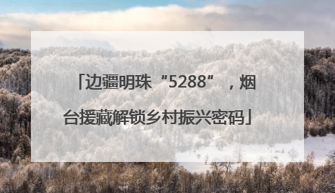边疆明珠“5288”，烟台援藏解锁乡村振兴密码