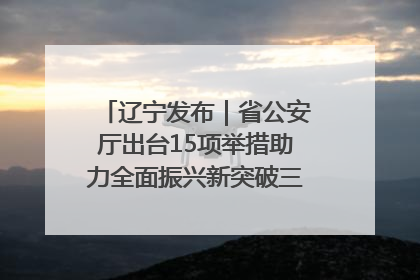 辽宁发布｜省公安厅出台15项举措助力全面振兴新突破三年行动决胜之战