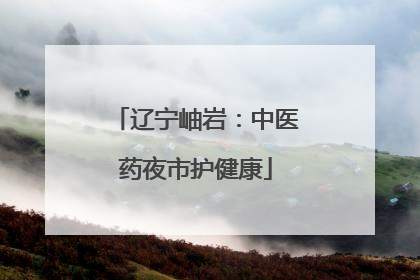 辽宁岫岩：中医药夜市护健康