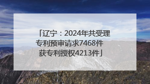 辽宁：2024年共受理专利预审请求7468件 获专利授权4213件