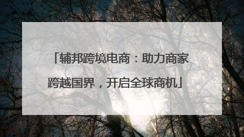 辅邦跨境电商：助力商家跨越国界，开启全球商机