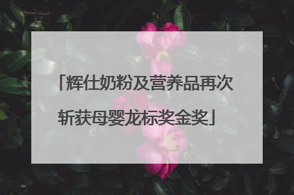 辉仕奶粉及营养品再次斩获母婴龙标奖金奖