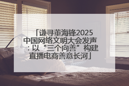 谦寻董海锋2025中国网络文明大会发声：以“三个向善”构建直播电商善意长河