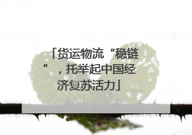 货运物流“稳链”，托举起中国经济复苏活力