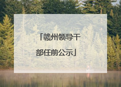 赣州领导干部任前公示