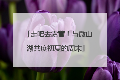 走吧去露营！与微山湖共度初夏的周末